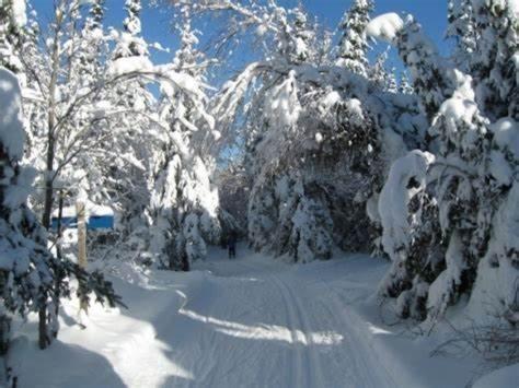 Hotel Far Hills Val-Morin Экстерьер фото